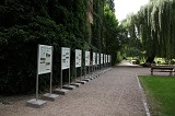 fot. 3