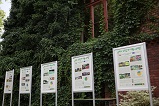 fot. 6