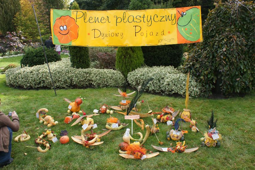 zdjęcie fajntazyjnych dyń