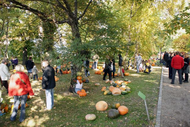zdjęcie ludzi zwiedzających ogród