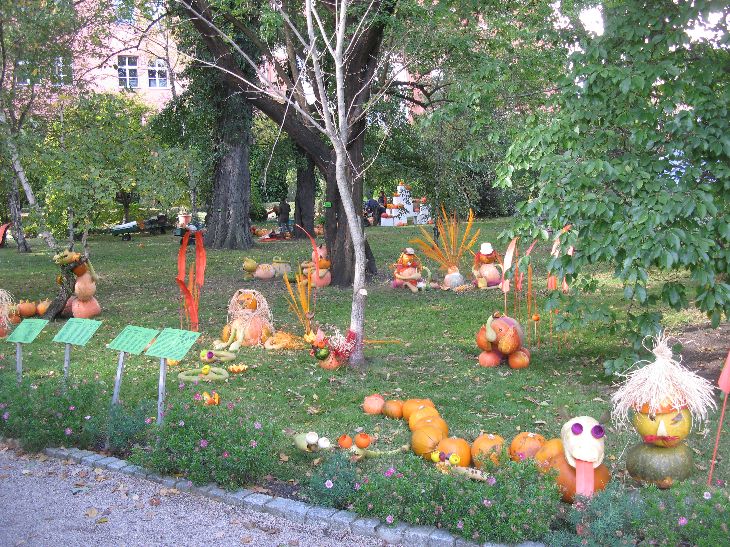 zdjęcie fajntazyjnych dyń